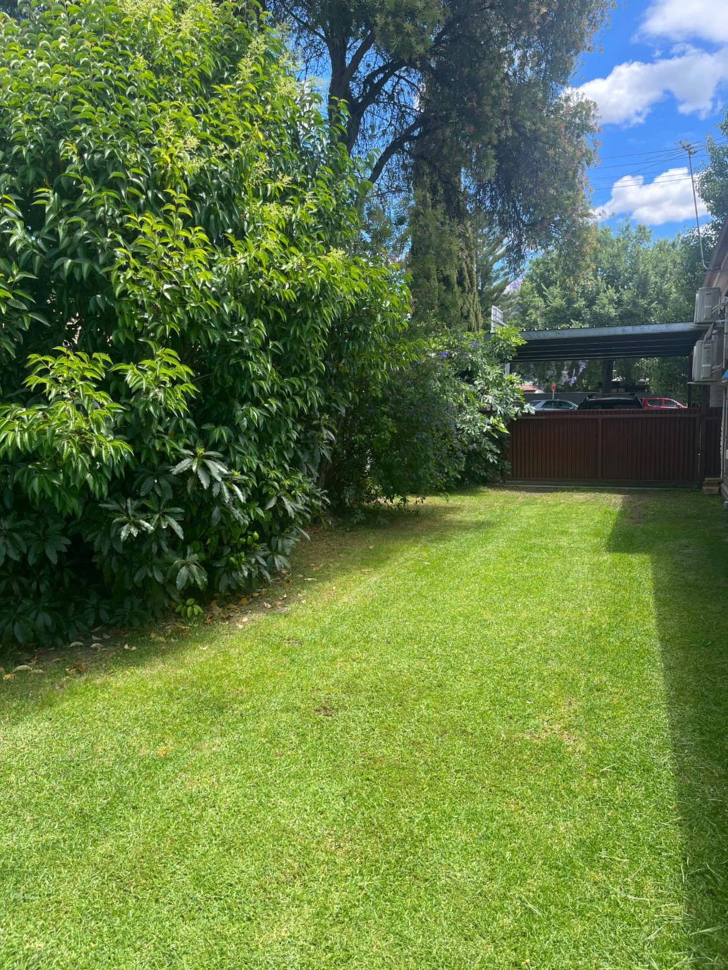 Somerby! Modern Character Property! Cbd,Pets,Park Albury Esterno foto